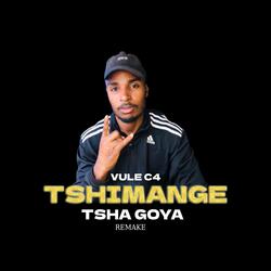 Tshimange Tshagoya