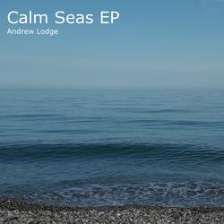 Low Flight over a Calm Sea