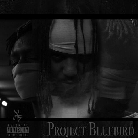 Project Bluebird