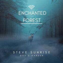 Enchanted Forest