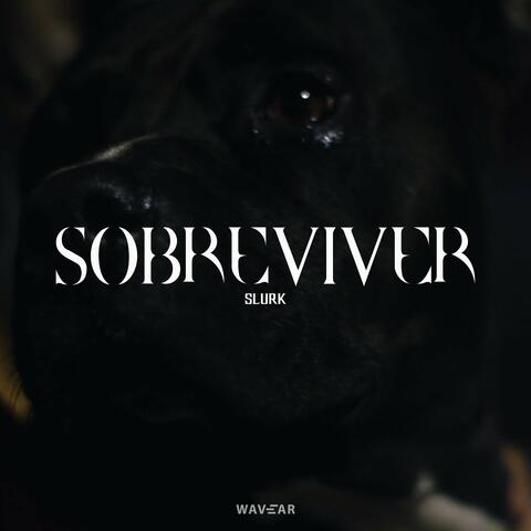 Sobreviver
