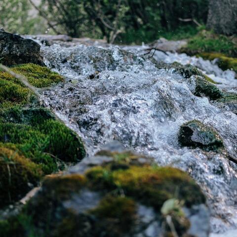 An Hour of Relaxing Sound of Rushing Water in the Creek