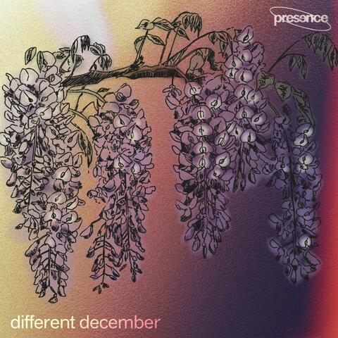 Different December