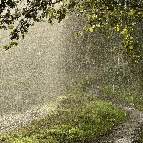 We'll Find Our Way Back Home