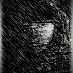 Shadows