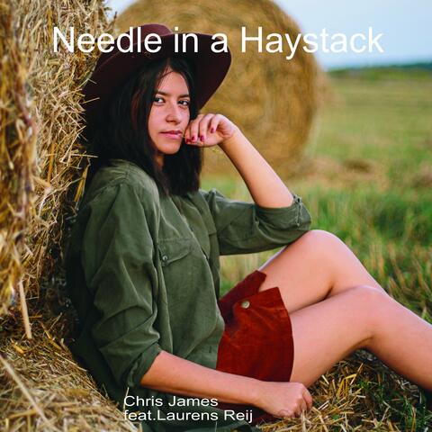 Needle in a Haystack