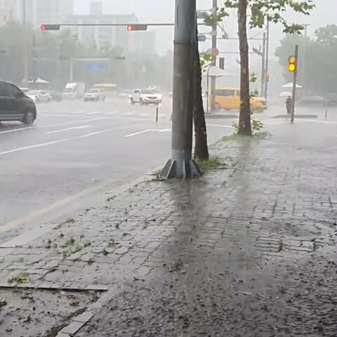 Heavy Rain While Walking Down the Street