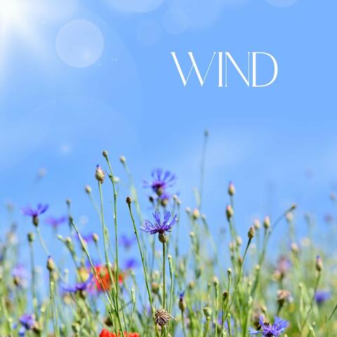 Wind