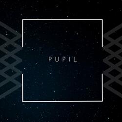 Pupil