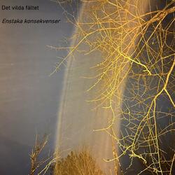 Något ovanligt bakom kullen