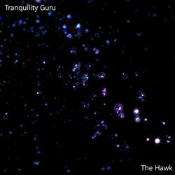 The Hawk