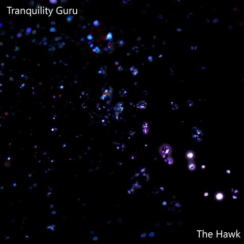 The Hawk