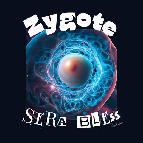 Zygote