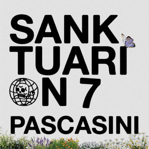 Sanktuari on 7