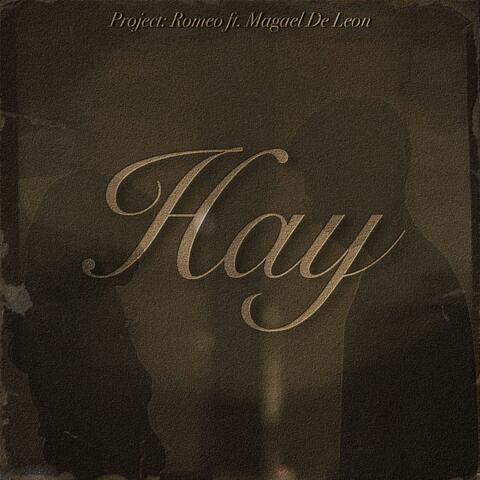 Hay