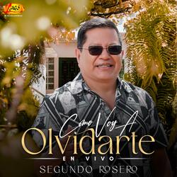 Como Voy a Olvidarte