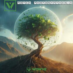 Photosynthesis