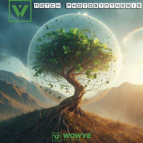 Photosynthesis