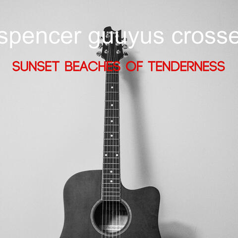Sunset Beaches of Tenderness