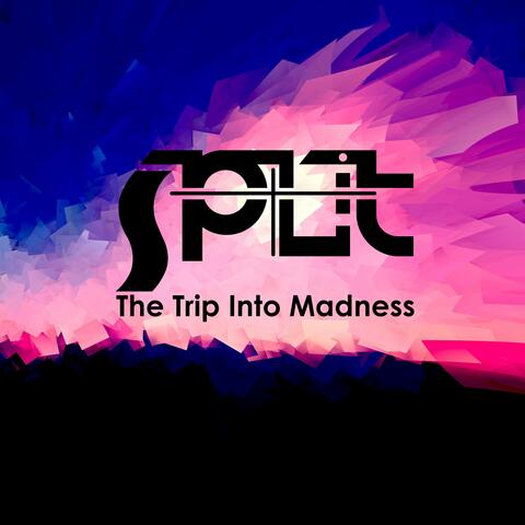 The Trip into Madness