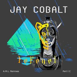 A.m.l. Remixes Ic - T E F E N E T