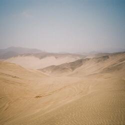 Nobody Will Even Know I'm Gone