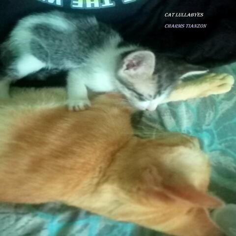 Cat Lullabyes