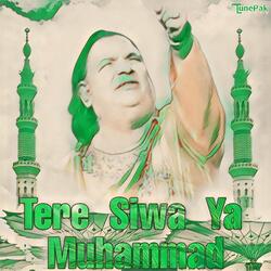 Tere Siwa Ya Muhammad
