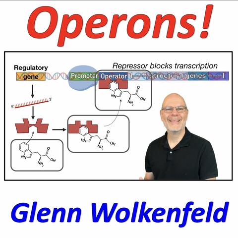 Operons!