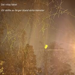 Ett skifte av färger bland stilla mönster V