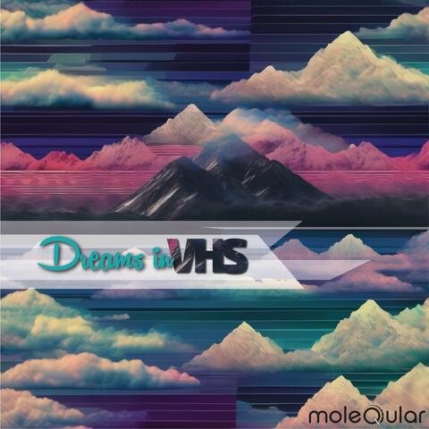 Dreams in VHS