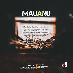 Mau Anu