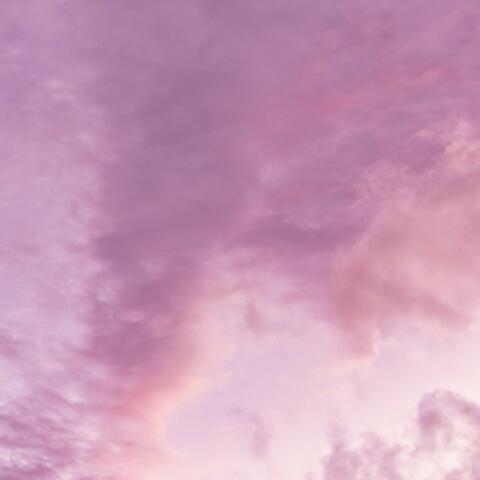 Somewhere with Birds