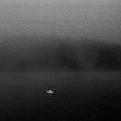 Displacement