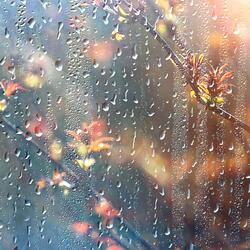 Dormir Tranquilamente con Lluvia Relajante, Pt. 10