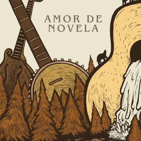 Amor De Novela