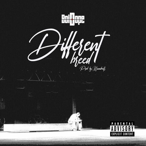 Different Breed