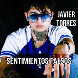 Sentimientos Falsos