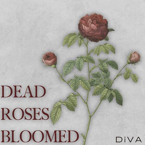 Dead Roses Bloomed