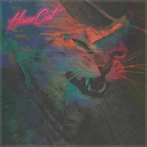 Housecat