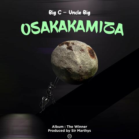 Osakakamiza