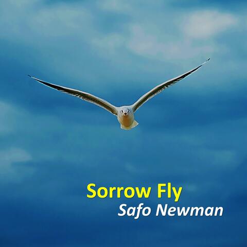 Sorrow Fly