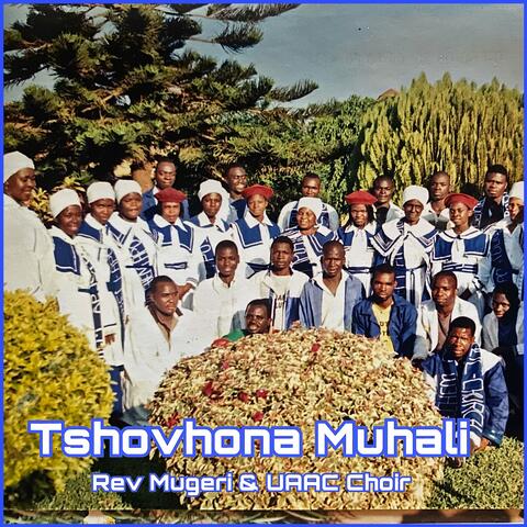 Tshovhona Muhali