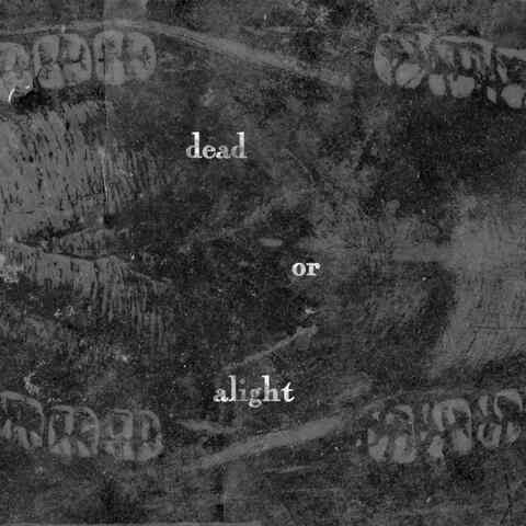 Dead or Alight