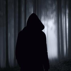 Lucid Dream in the Dark