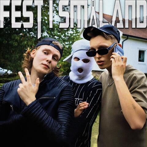 Fest i Småland