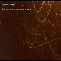 Återupprepade splittrade uttryck två