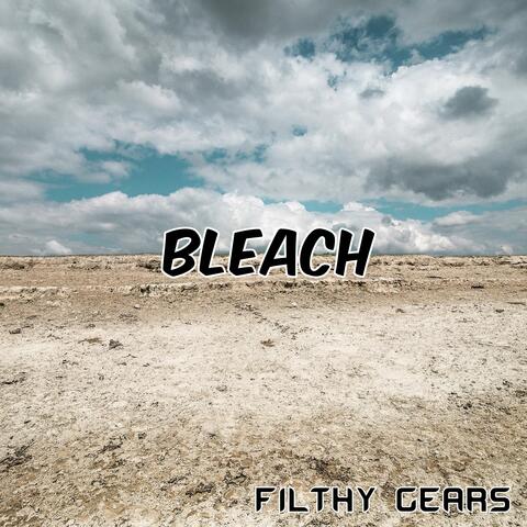 Bleach