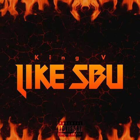 Like Sbu