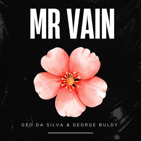 Mr Vain